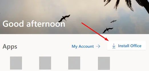 Log in Account