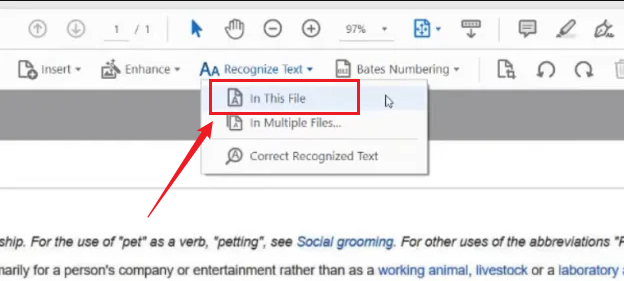 Click Recognize Text and select In This File in Adobe Acrobat Pro