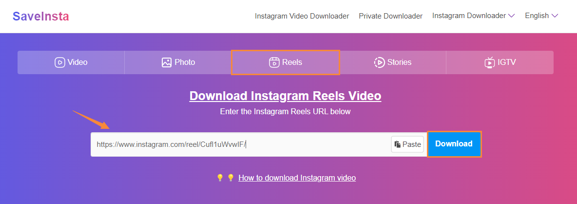 Online Instagram Reels Download