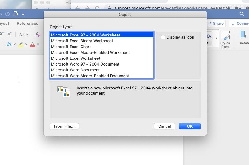 Insert PDF into Word