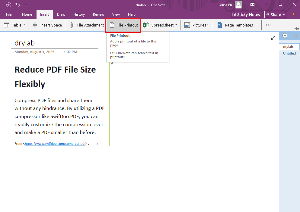 Choose the File Printout option from the Insert menu in OneNote