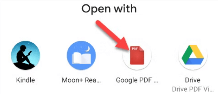 Google PDF Viewer