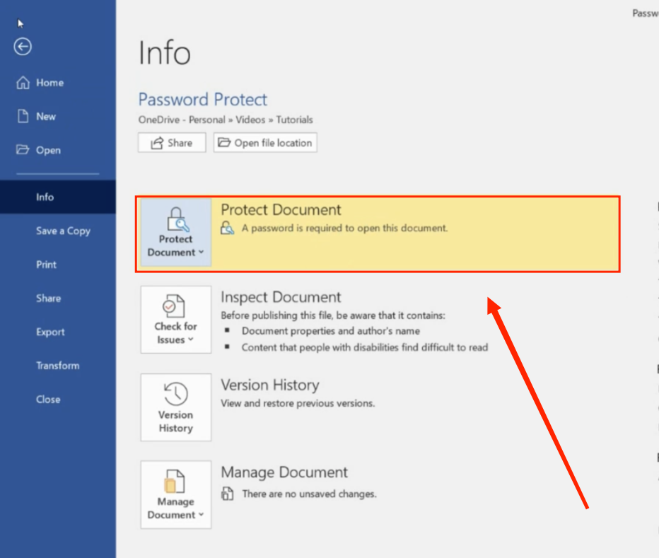 solved-how-to-password-protect-a-word-document-on-windows-mac