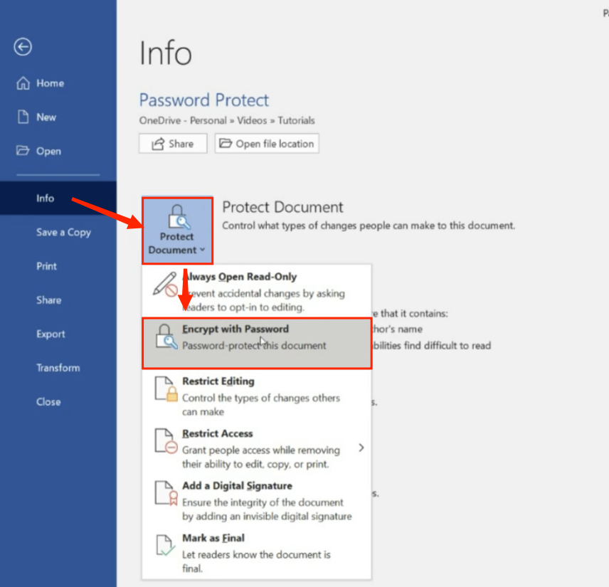 Password-protect a word document using Word on the Windows system