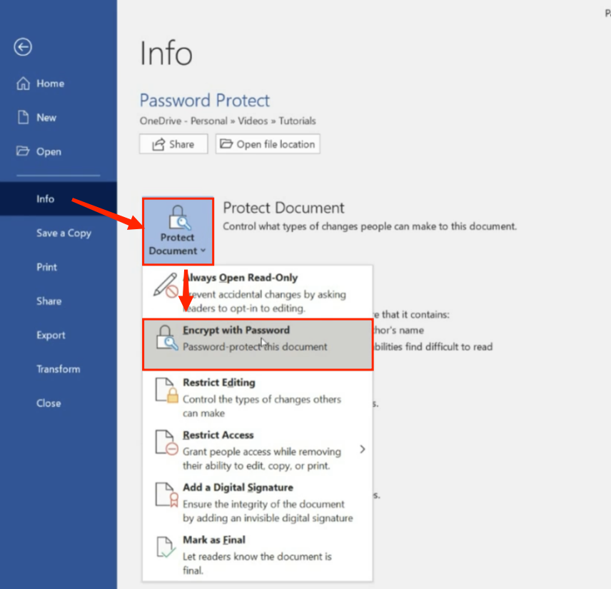 solved-how-to-password-protect-a-word-document-on-windows-mac