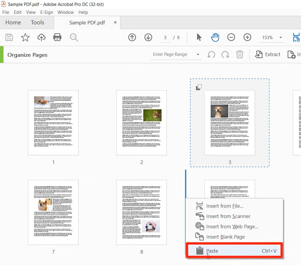 Paste Pages in PDF