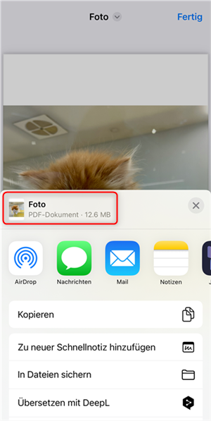 iPhone PDF erstellen - Aus Fotos PDFs erstellen