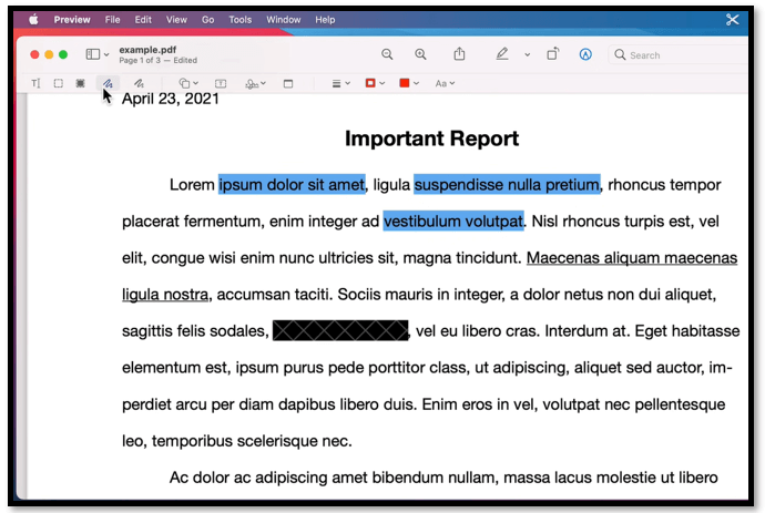 PDF editor app - Preview