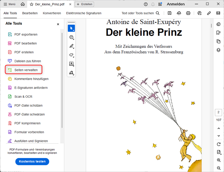 Adobe Acrobat - Seiten verwalten