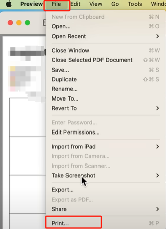 Resize PDF to Letter Size Using the Preview 1