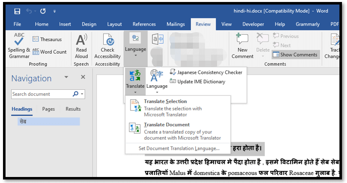 PDF translate Hindi to English in Microsoft Word