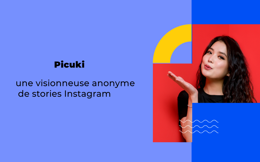 picuki-visionneuse-anonyme-de-stories-instagram