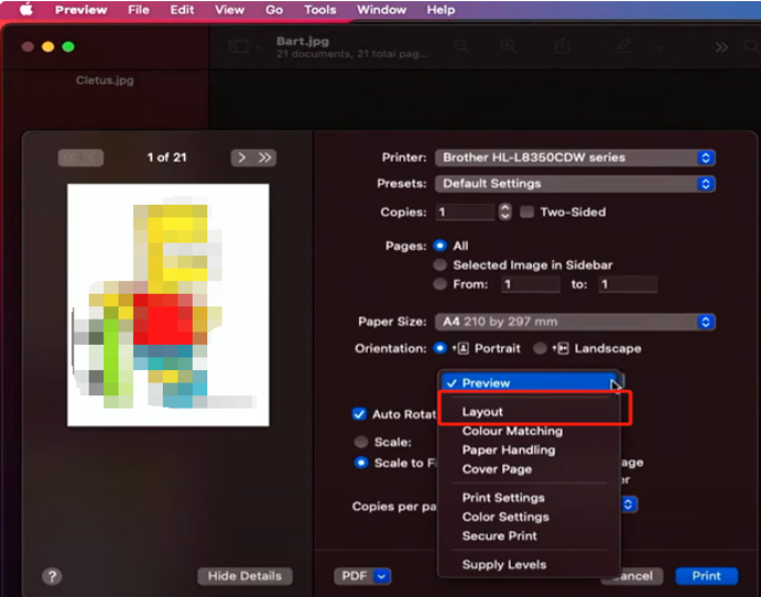 How to Print Multiple Images on One Page from Mac 1