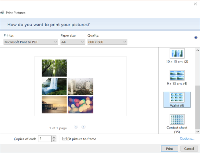 How to Print Multiple Photos on One Page from Windows 4