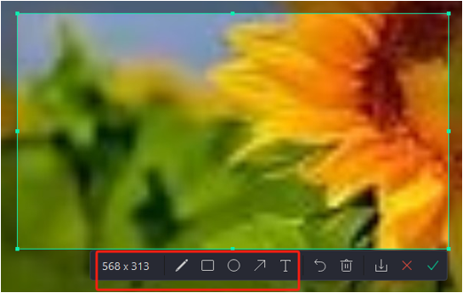 How to Fix Print Screen Not Working -3rd party screen recorder 2