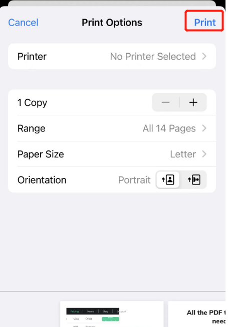 Print to PDF on iPhone from Safari step 3