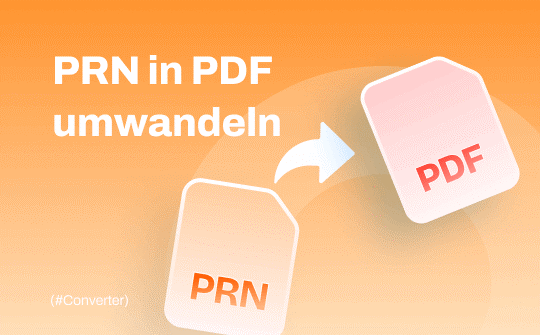prn-in-pdf-umwandeln-1