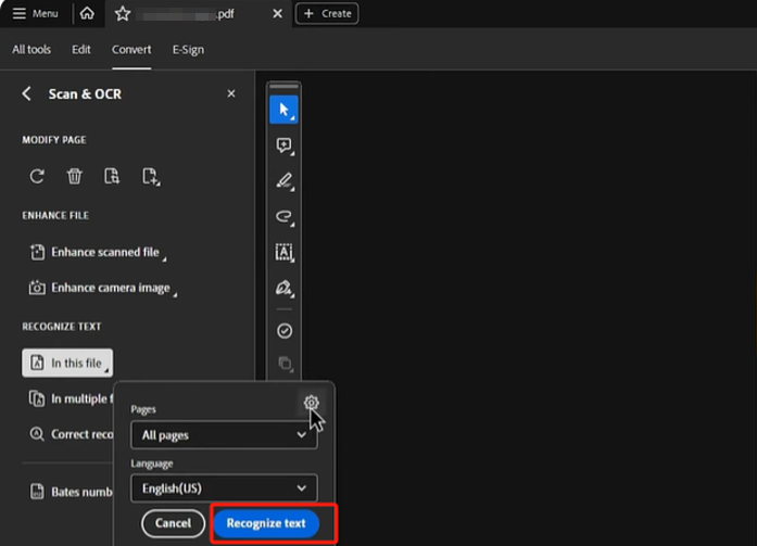 Adobe Acrobat Pro PDF Editor to Recognize Text