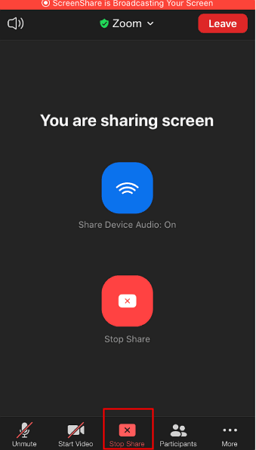 Zoom Screen-Sharing