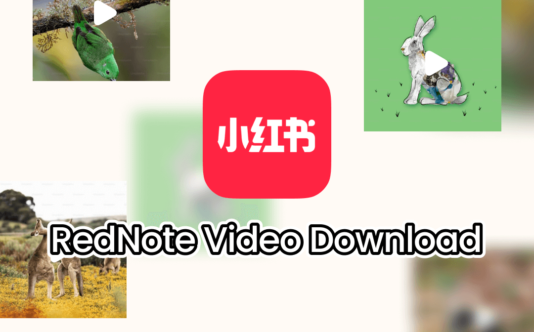 rednote-video-download