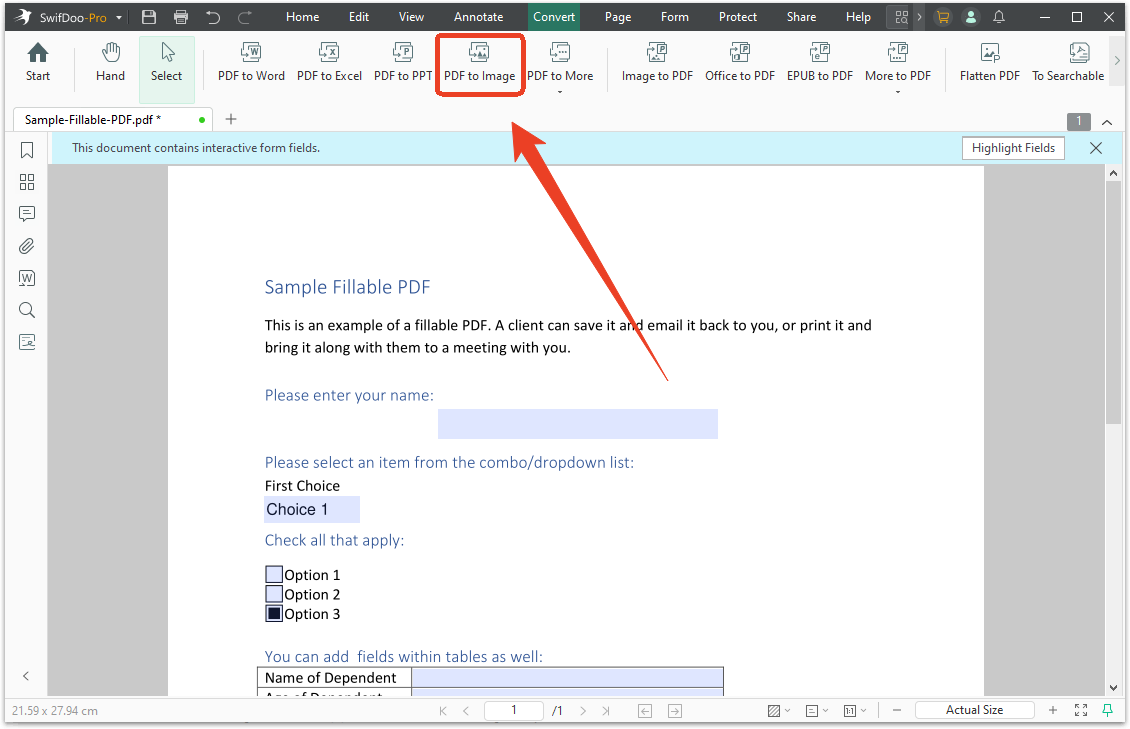swifdoo PDF to Image