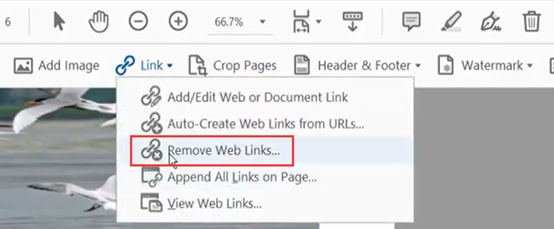 Remove hyperlink from PDF in Acrobat