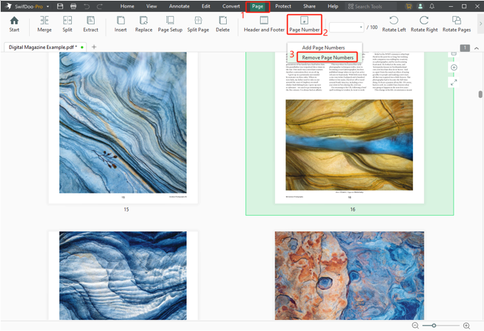 How to Remove Page Numbers from PDF Using SwifDoo PDF 1