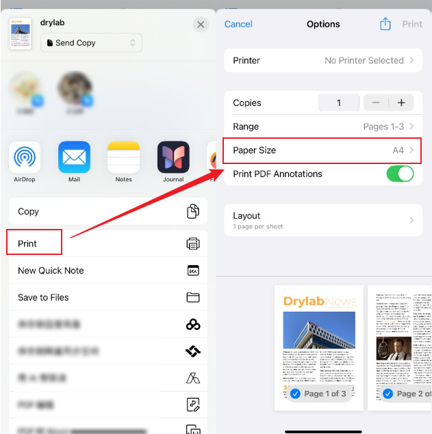 Tap the Print option and set the Paper Size to A4 in the Files app of iPhone