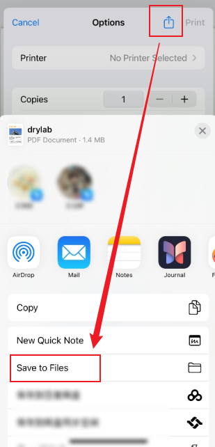 Tap the Share icon and choose the Save to Files option on iPhone