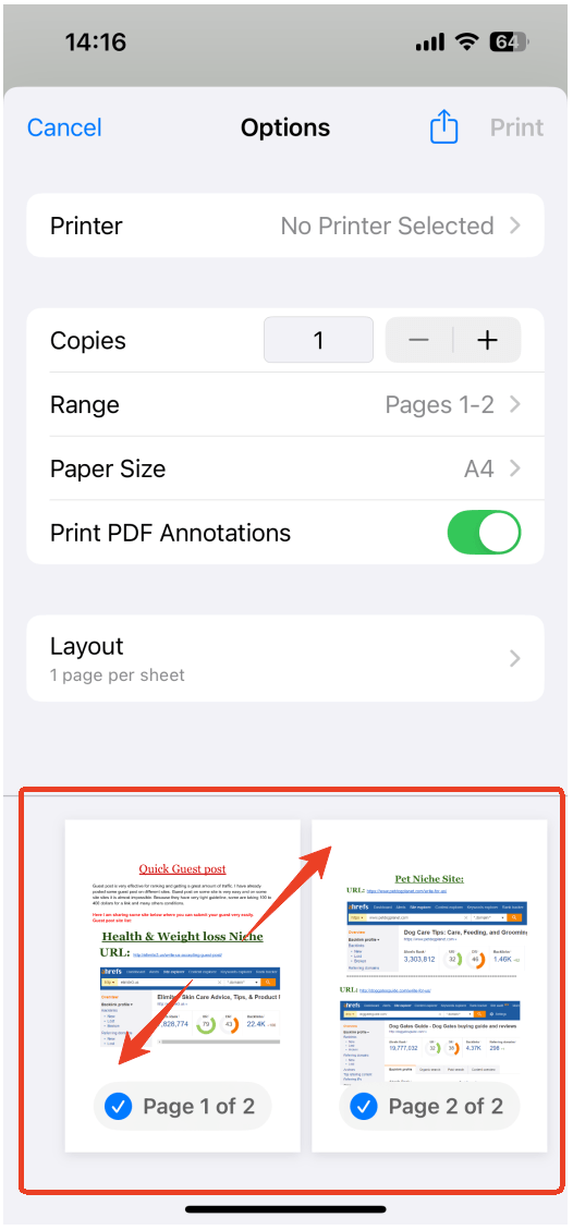 expands into a full-screen PDF view