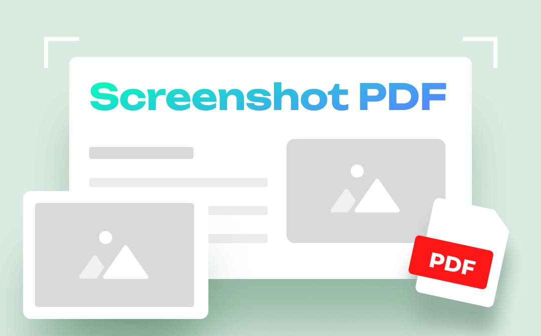 Screenshot PDF