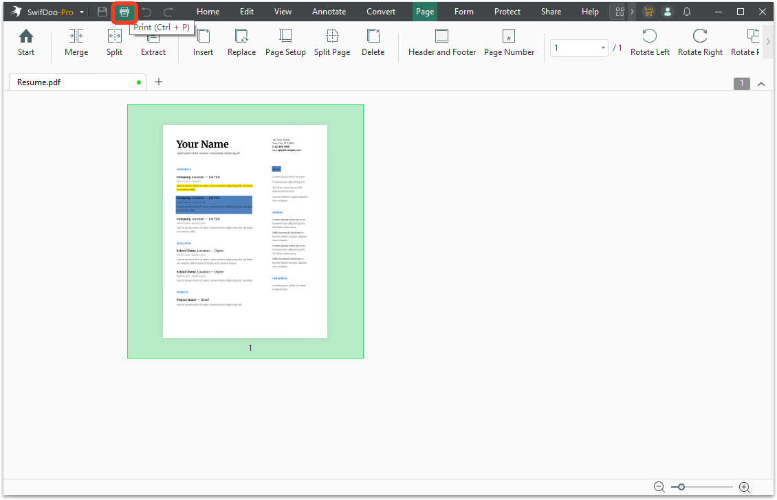 swifdoo pdf printer