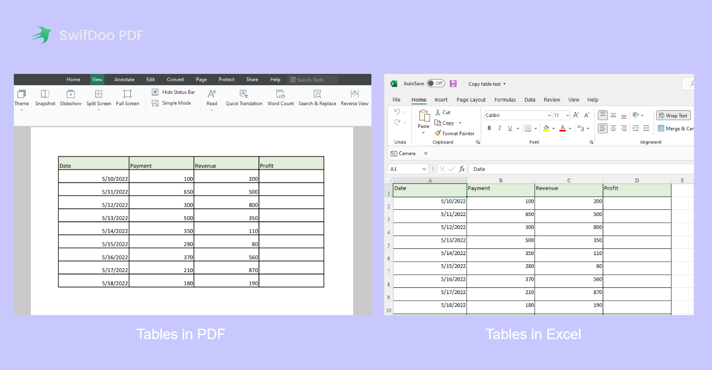 Table Comparison Between PDF and Excel
