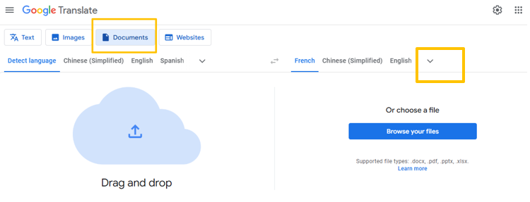 How to Use Google Translate to Translate a Medical Report 1