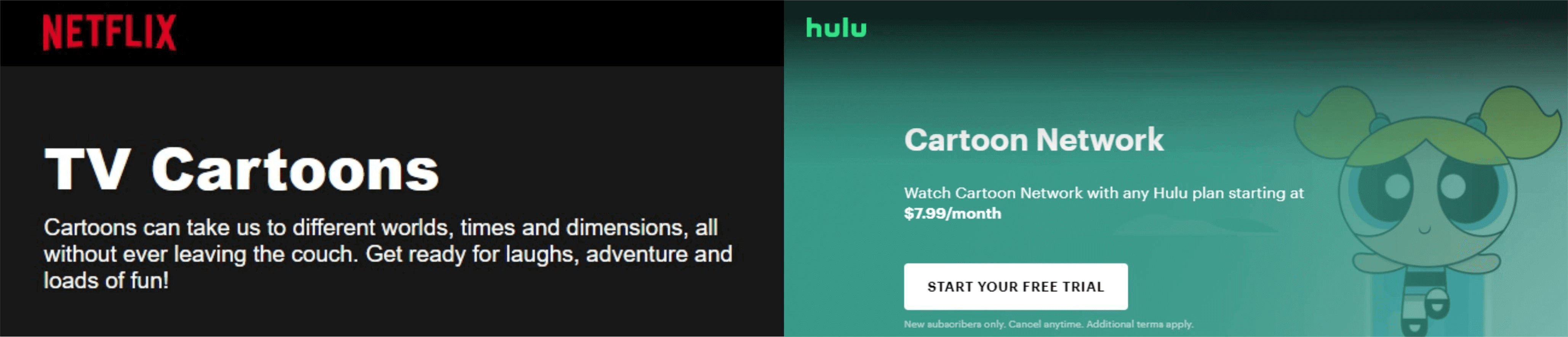 Watch cartoons online on Netflix/Hulu