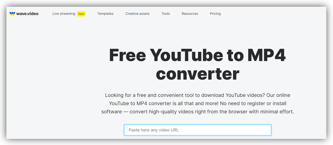YouTube to MP4 Wave.video converter